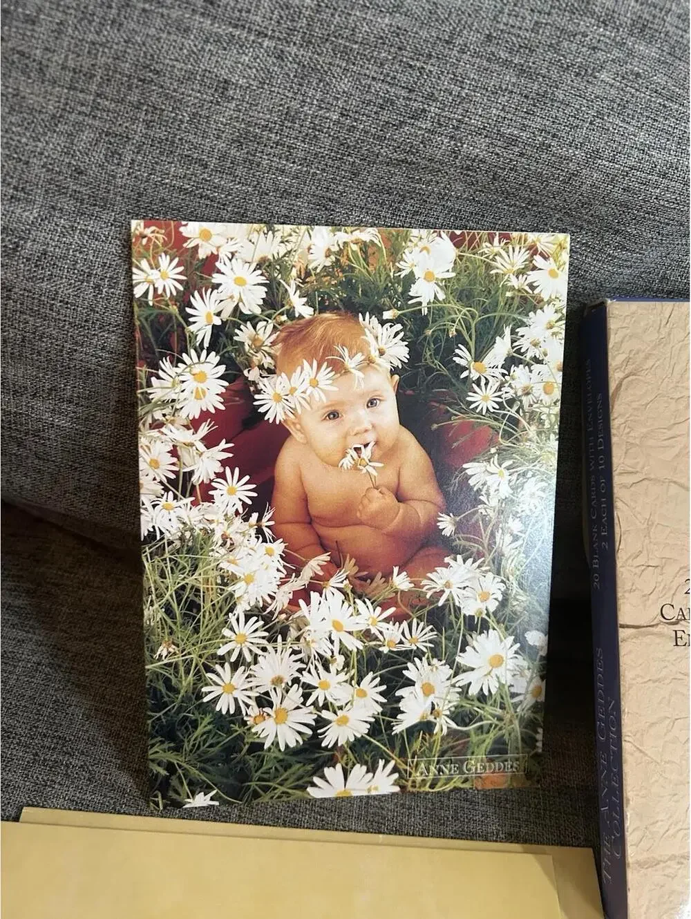 Anne Geddes there are